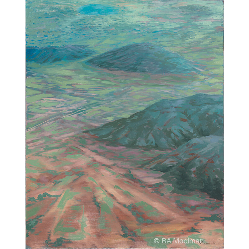 <b> Bosberg Area </b> Bosberg Area, a BA Moolman Painting.