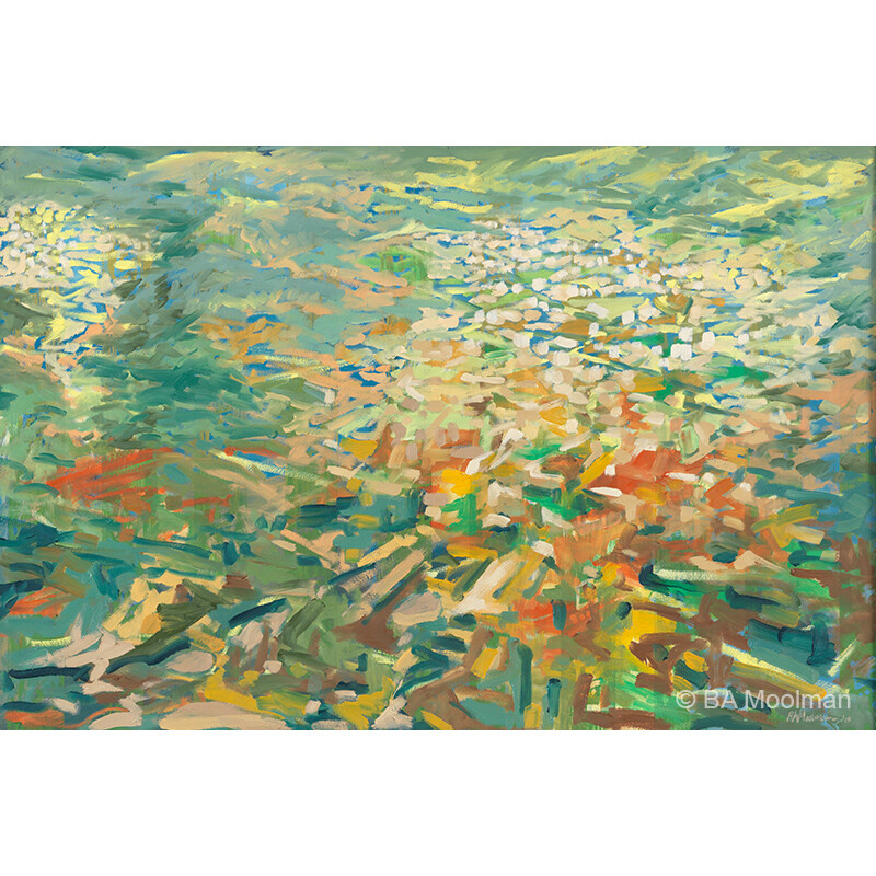 <b> Cradock Vacinity </b> Cradock Vacinity, a BA Moolman Painting.