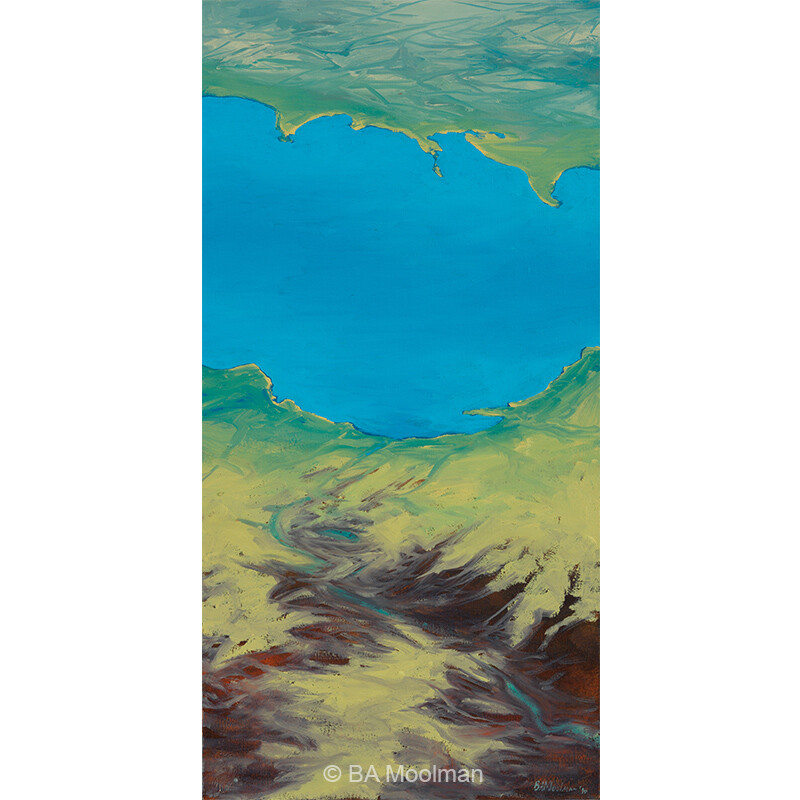 <b> Flying high on Polaroid </b> Flying high on Polaroid, a BA Moolman Painting.