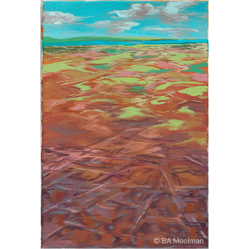 <b> Summer Holiday </b> Summer Holiday, a BA Moolman Painting.